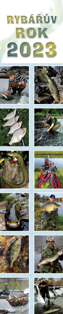 Rybářův rok
