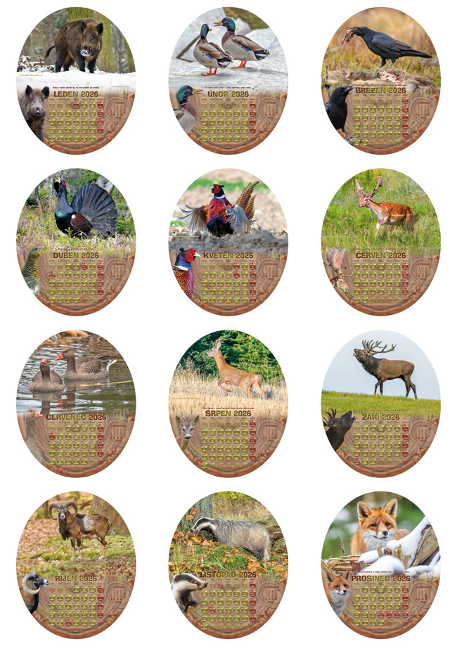 Ukázky všech měsíců